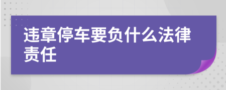 违章停车要负什么法律责任