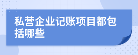 私营企业记账项目都包括哪些