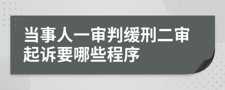 当事人一审判缓刑二审起诉要哪些程序