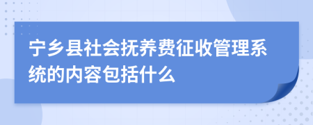 宁乡县社会抚养费征收管理系统的内容包括什么