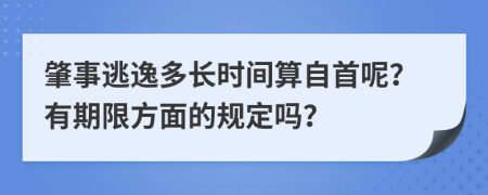 肇事逃逸多长时间算自首呢？有期限方面的规定吗？