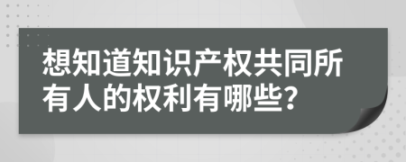 想知道知识产权共同所有人的权利有哪些？