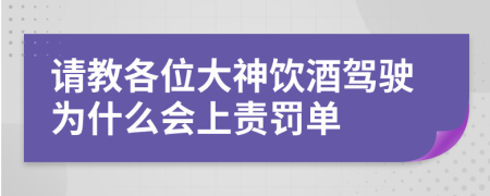 请教各位大神饮酒驾驶为什么会上责罚单