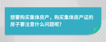 想要购买集体房产，购买集体房产证的房子要注意什么问题呢？