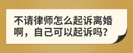 不请律师怎么起诉离婚啊，自己可以起诉吗？