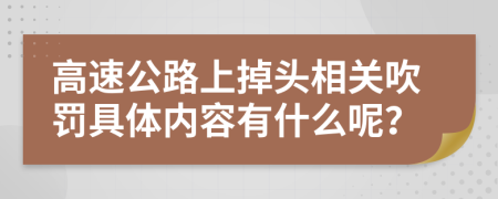 高速公路上掉头相关吹罚具体内容有什么呢？