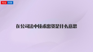 在公司法中技术出资是什么意思