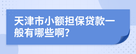 天津市小额担保贷款一般有哪些啊？