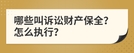 哪些叫诉讼财产保全？怎么执行？