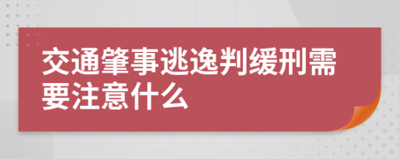 交通肇事逃逸判缓刑需要注意什么