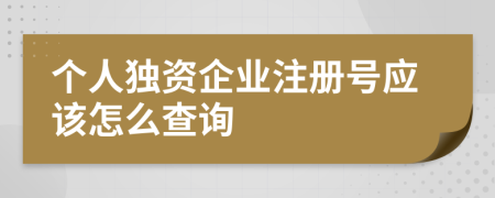 个人独资企业注册号应该怎么查询