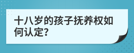 十八岁的孩子抚养权如何认定？