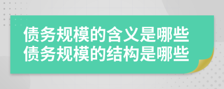 债务规模的含义是哪些债务规模的结构是哪些