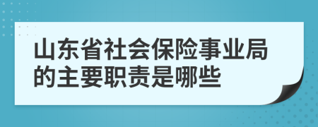 山东省社会保险事业局的主要职责是哪些