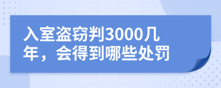 入室盗窃判3000几年，会得到哪些处罚