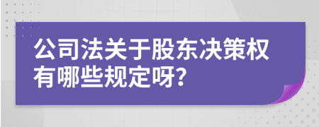 公司法关于股东决策权有哪些规定呀？