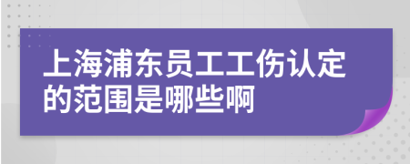 上海浦东员工工伤认定的范围是哪些啊