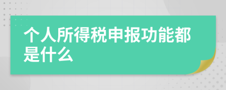 个人所得税申报功能都是什么