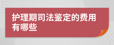 护理期司法鉴定的费用有哪些