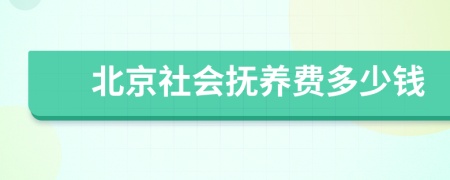 北京社会抚养费多少钱