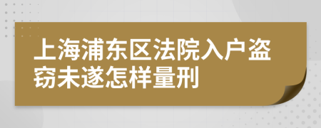 上海浦东区法院入户盗窃未遂怎样量刑