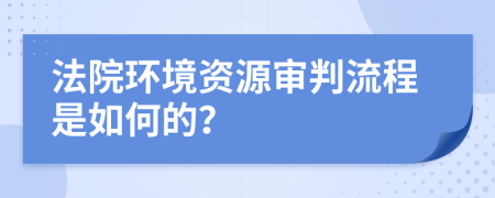 法院环境资源审判流程是如何的？