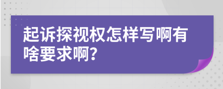 起诉探视权怎样写啊有啥要求啊？