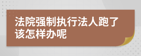 法院强制执行法人跑了该怎样办呢