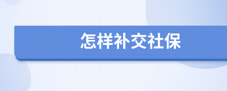 怎样补交社保