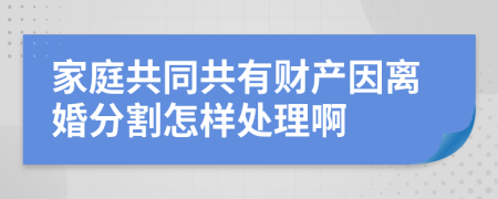 家庭共同共有财产因离婚分割怎样处理啊