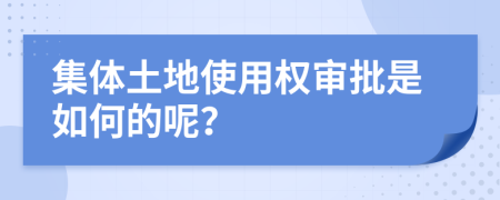 集体土地使用权审批是如何的呢？