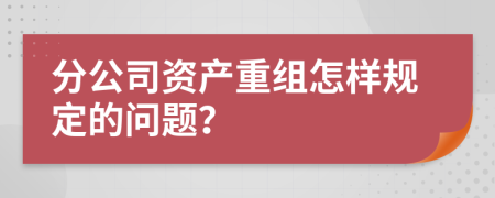 分公司资产重组怎样规定的问题？