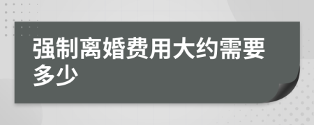 强制离婚费用大约需要多少