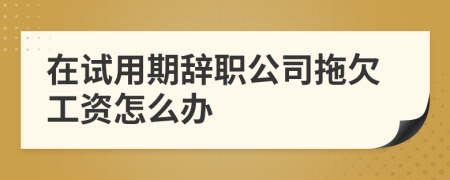 在试用期辞职公司拖欠工资怎么办