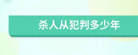 杀人从犯判多少年