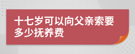 十七岁可以向父亲索要多少抚养费