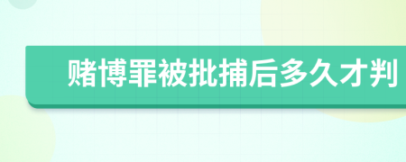 赌博罪被批捕后多久才判