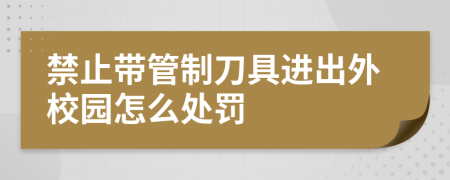 禁止带管制刀具进出外校园怎么处罚