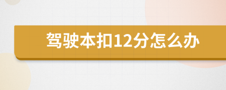 驾驶本扣12分怎么办