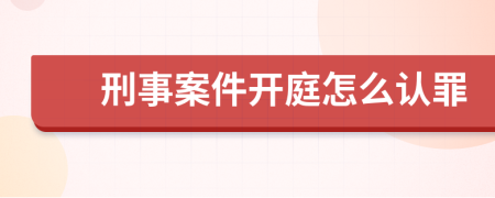 刑事案件开庭怎么认罪