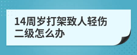 14周岁打架致人轻伤二级怎么办