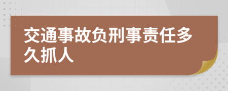 交通事故负刑事责任多久抓人