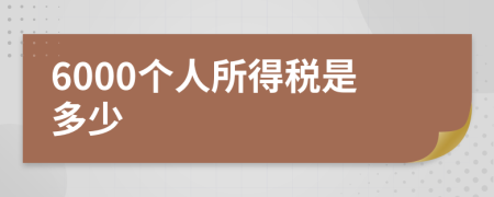 6000个人所得税是多少