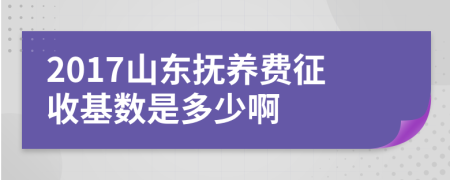2017山东抚养费征收基数是多少啊