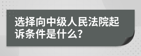 选择向中级人民法院起诉条件是什么？