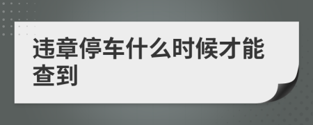 违章停车什么时候才能查到