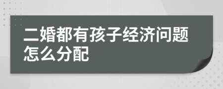 二婚都有孩子经济问题怎么分配