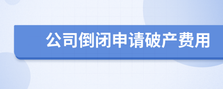 公司倒闭申请破产费用
