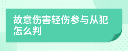 故意伤害轻伤参与从犯怎么判