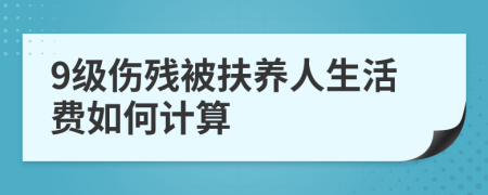 9级伤残被扶养人生活费如何计算